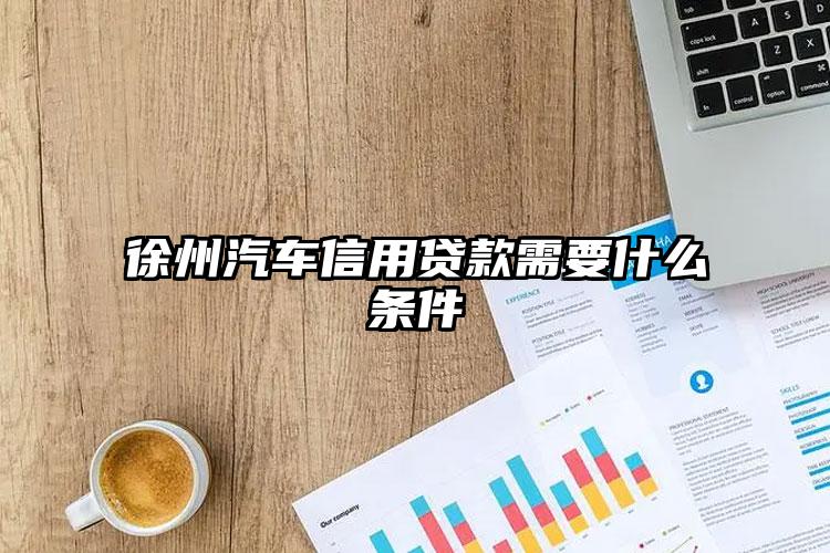 徐州汽车信用贷款需要什么条件