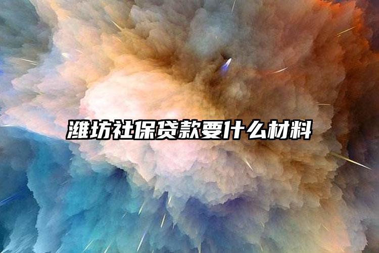 潍坊社保贷款要什么材料