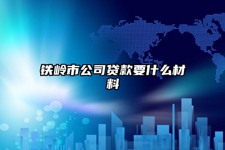 铁岭市公司贷款要什么材料